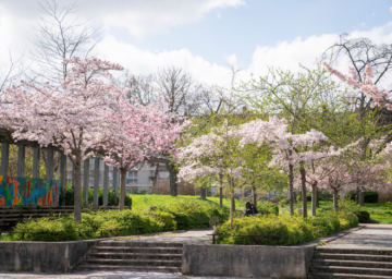 ©Ville d'Épinay-sur-Seine